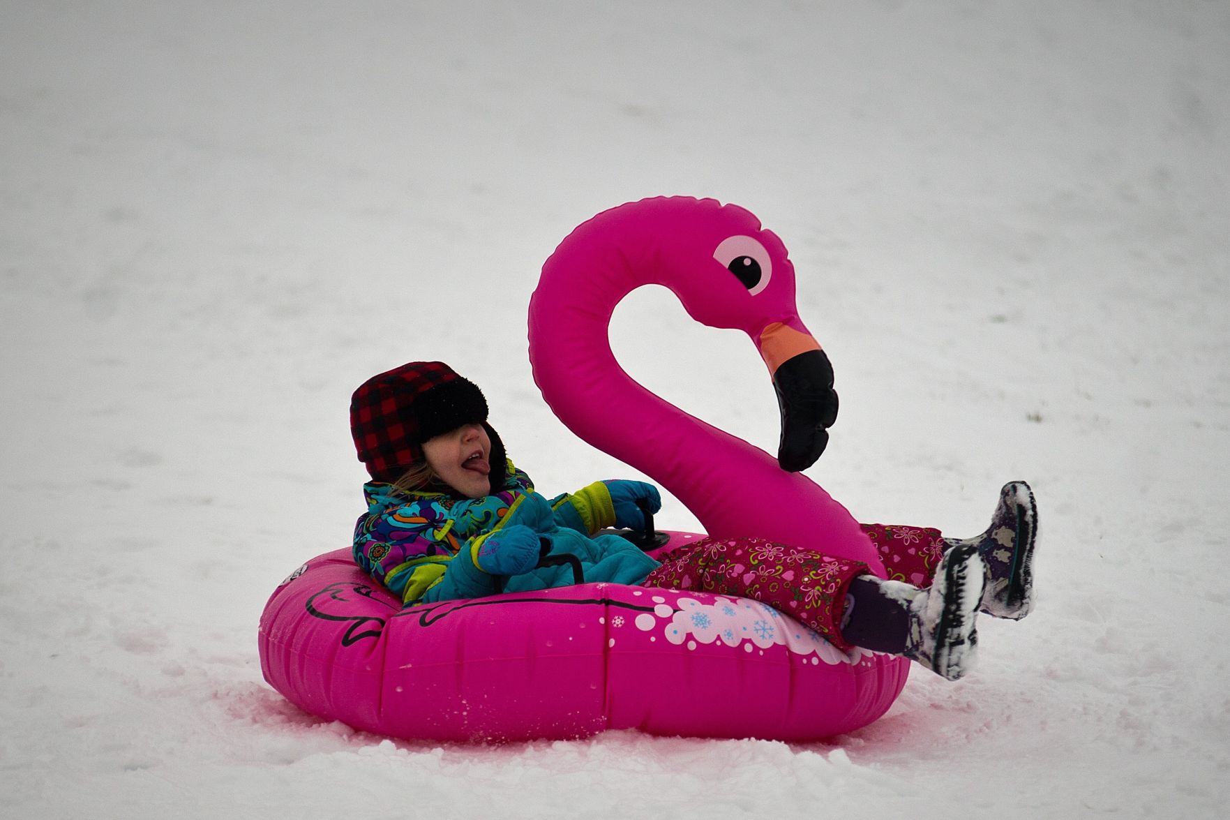 011319-blm-loc-15snow